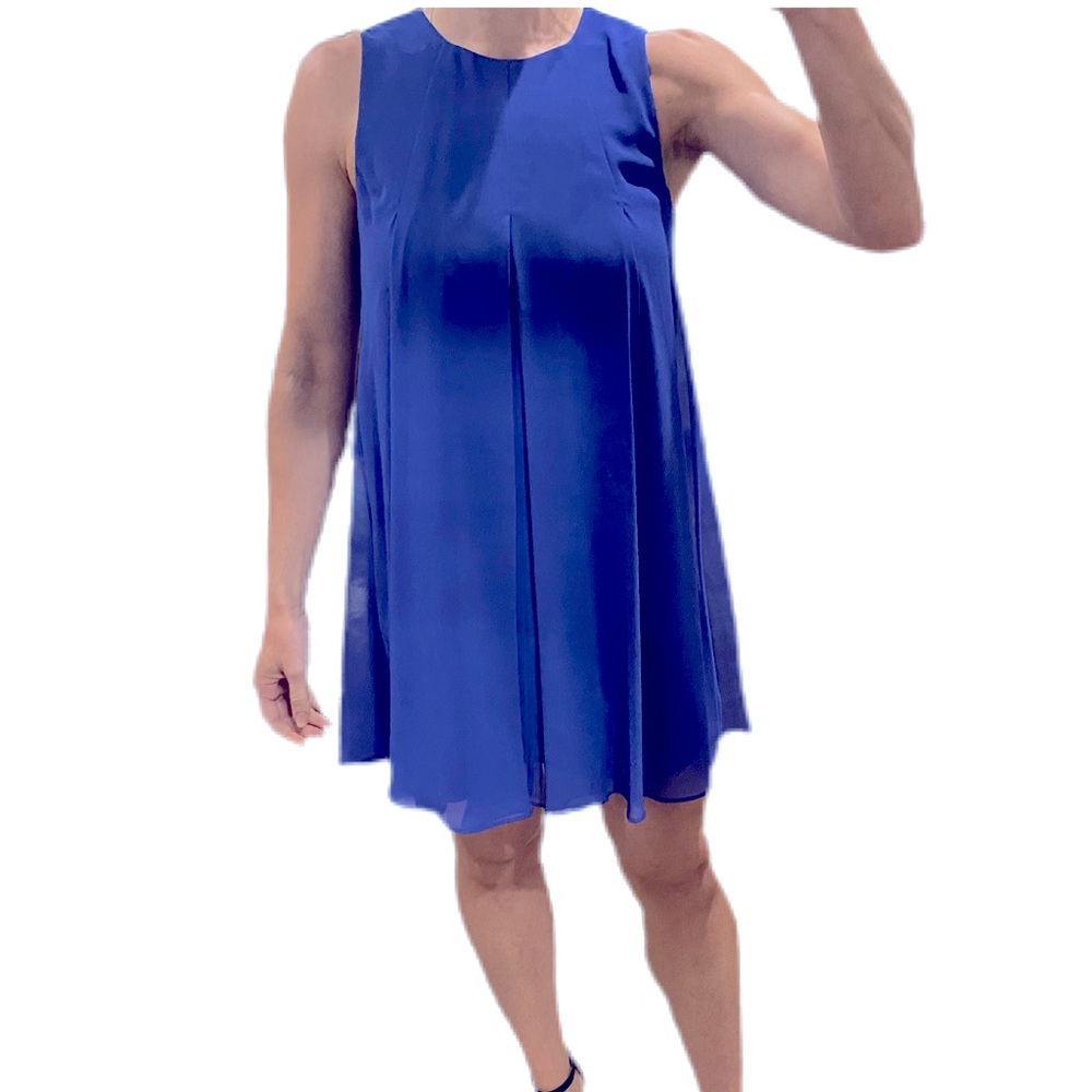 BCBG Purple Chiffon Dress XS